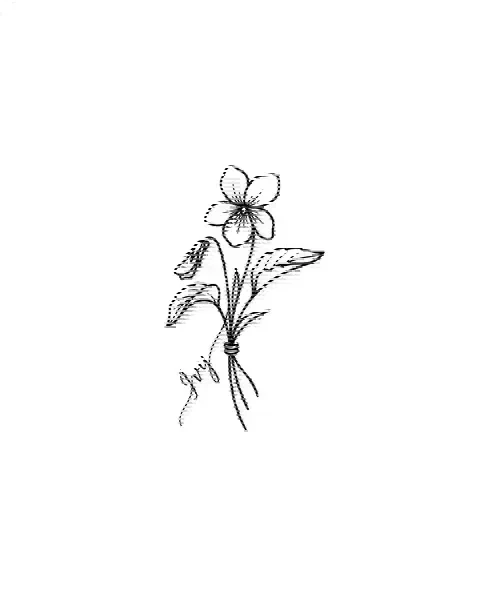 A minimal tattoo design of a single violet with the name Ivy on its stem