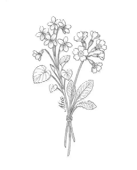 A fine-line tattoo design of violet and primrose tied together, with the name Mia on a stem