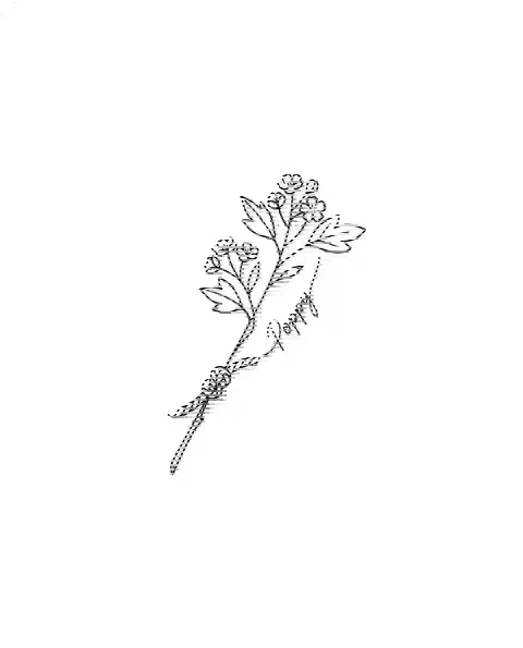 A minimal tattoo design of a small hawthorn with the name Poppy