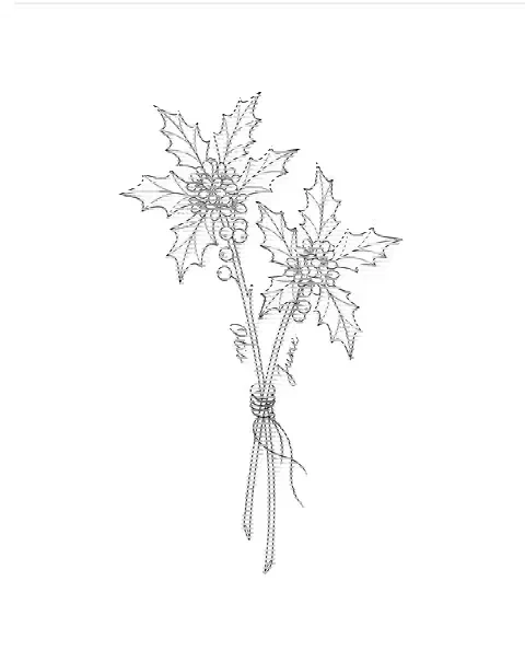 A fine-line tattoo design of two holly stems tied together, with the names Otis and June