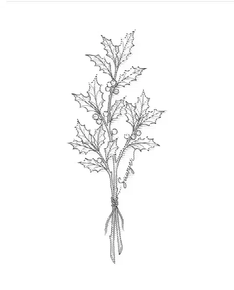 A fine-line tattoo design of a holly with the name Sawyer along its stem