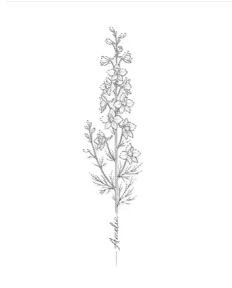 A fine-line tattoo design of a larkspur with the name Amelia along its stem