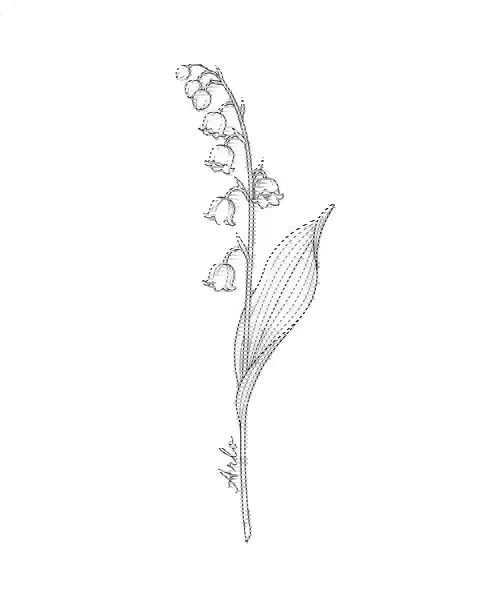 A fine-line tattoo design of a lily of the valley with the name Arlo along its stem
