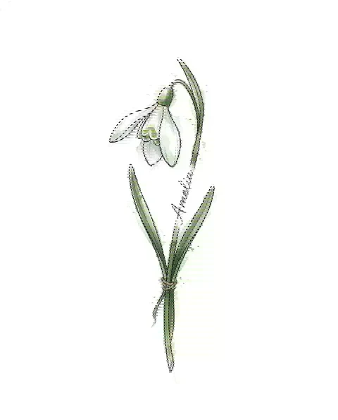 A watercolor tattoo design of a snowdrop with the name Amelia along its stem