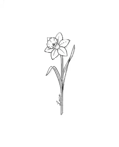 A minimal tattoo design of a single daffodil with the name Luca on its stem
