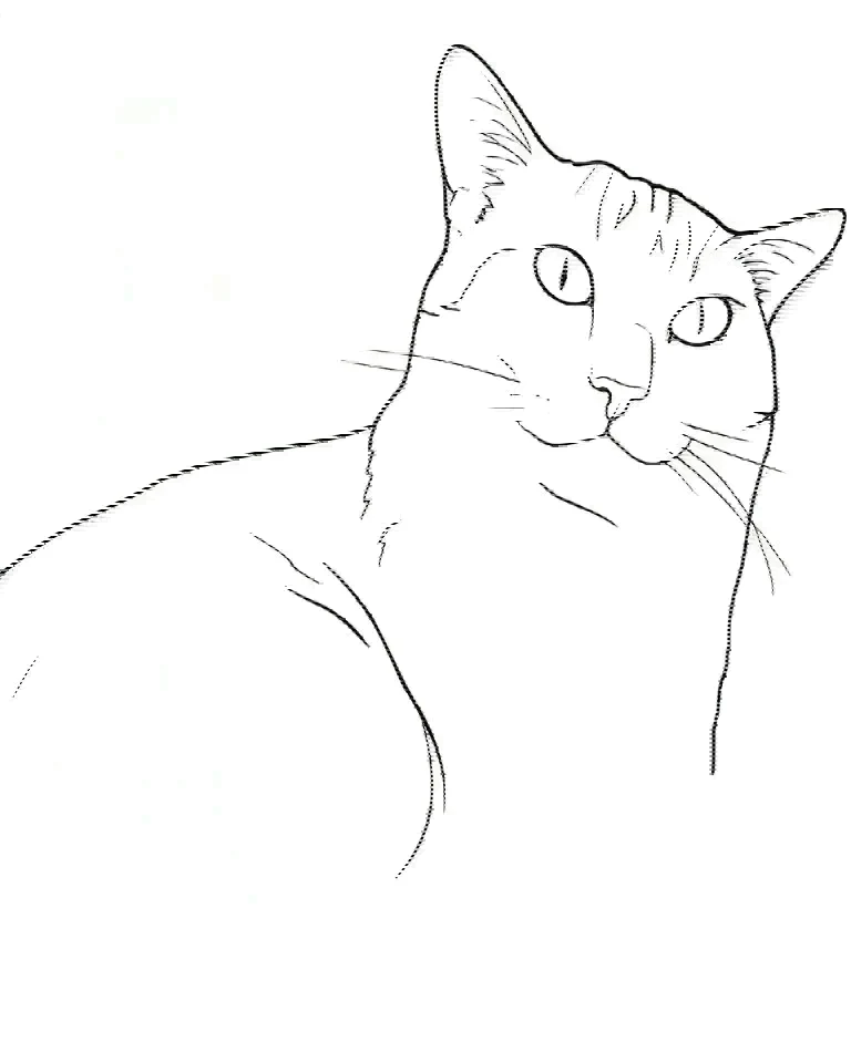 A fine-line tattoo design of a calico cat's head, drawn from a photo