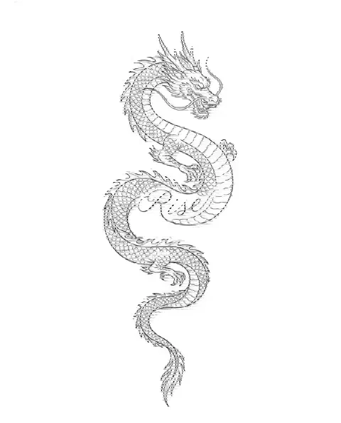 A fine-line tattoo design of a long thin dragon for the forearm, with the lettering Rise