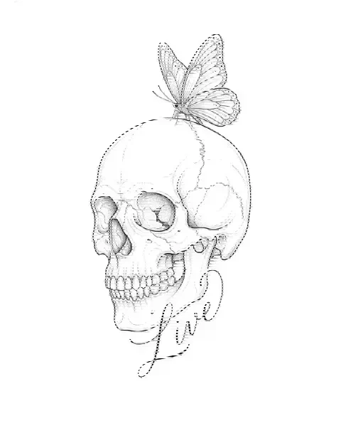 A fine-line tattoo design of a skull with a butterfly for the leg, with the lettering Live