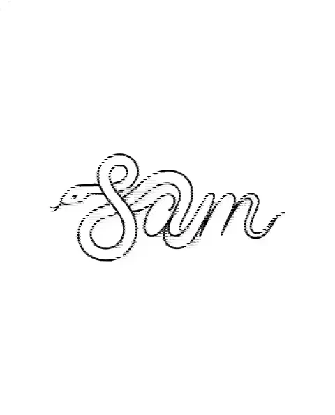 A minimal tattoo design of a small snake for the wrist, with the lettering Sam