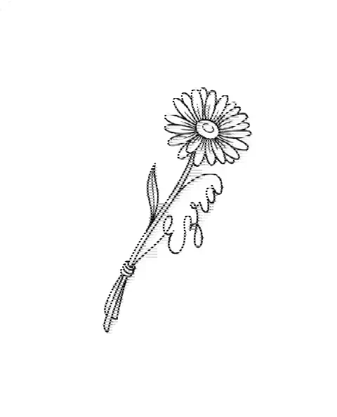 A minimal tattoo design of a single aster with the name Ezra on its stem